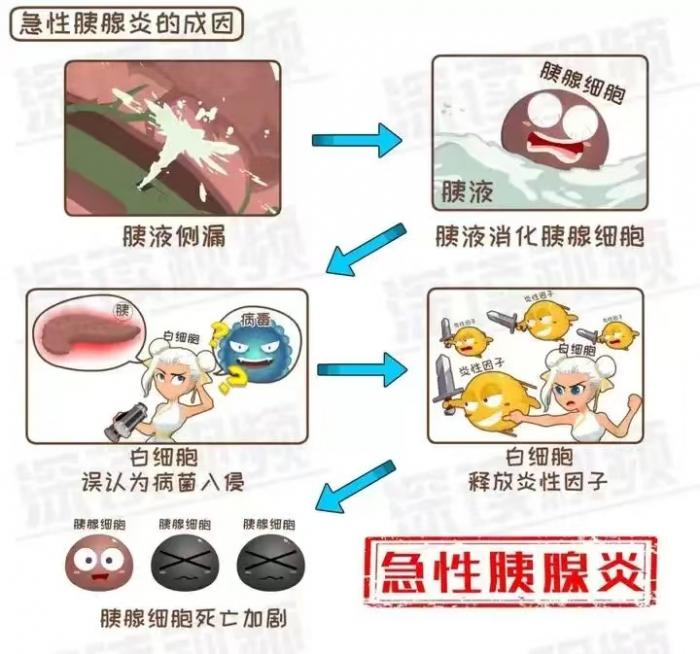 微信图片_20250225092036.jpg