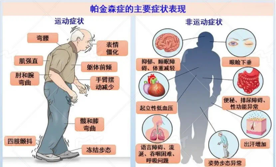 微信图片_20250410161705.png