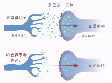 微信图片_20250410161700.png